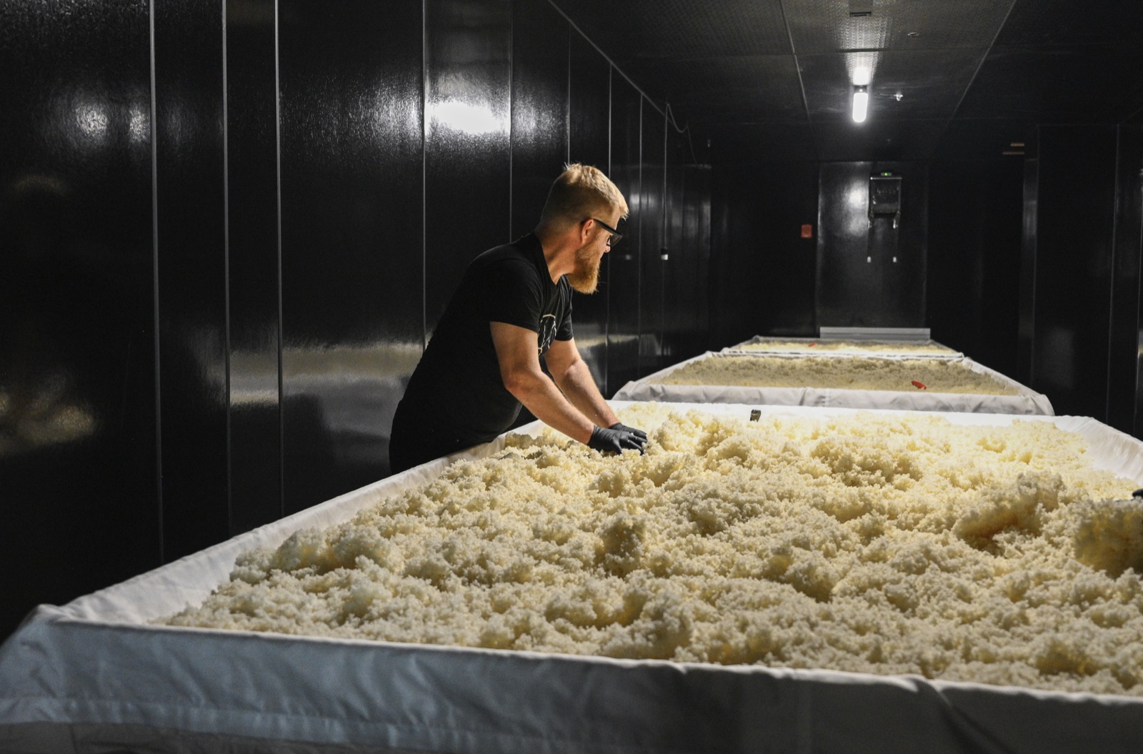 A brewer working koji rice by hand in the Brooklyn Kura koji room