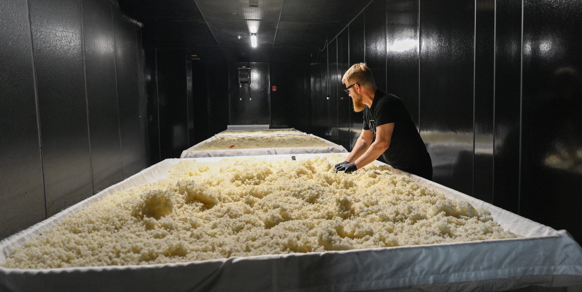 A brewer flipping koji rice by hand at Brooklyn Kura